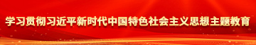 BB深淫学习贯彻习近平新时代中国特色社会主义思想主题教育